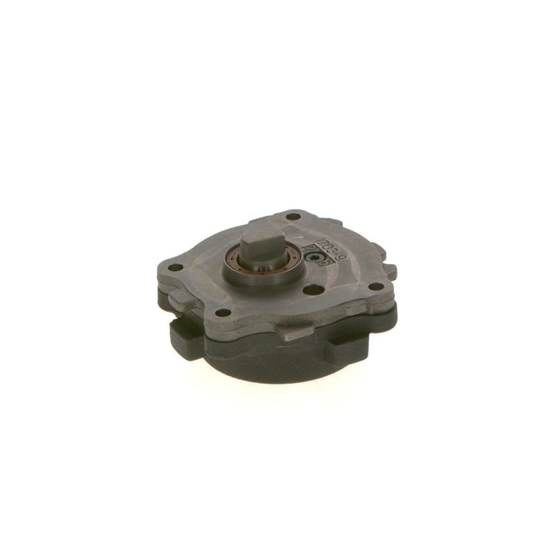 Bosch Fuel Pump Assembly 0 440 050 010