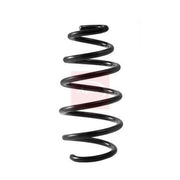 Apec Front Suspension Coil Spring ACS2422