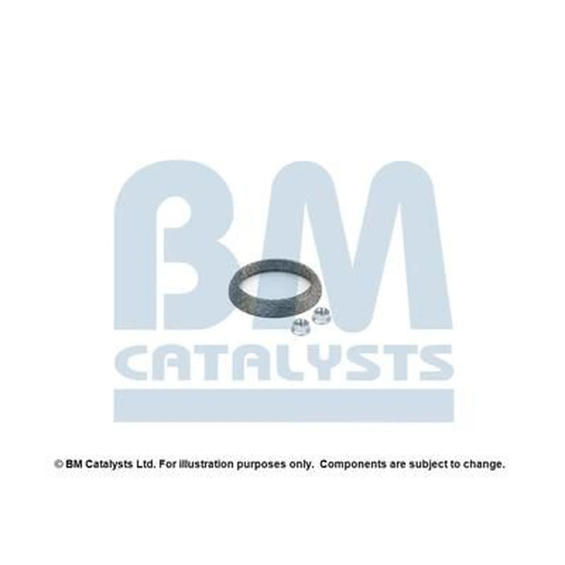BM Catalysts Fitting Kit FK80157B FK80157B
