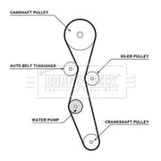 Borg & Beck Timing Belt & Water Pump Kit BTW1013