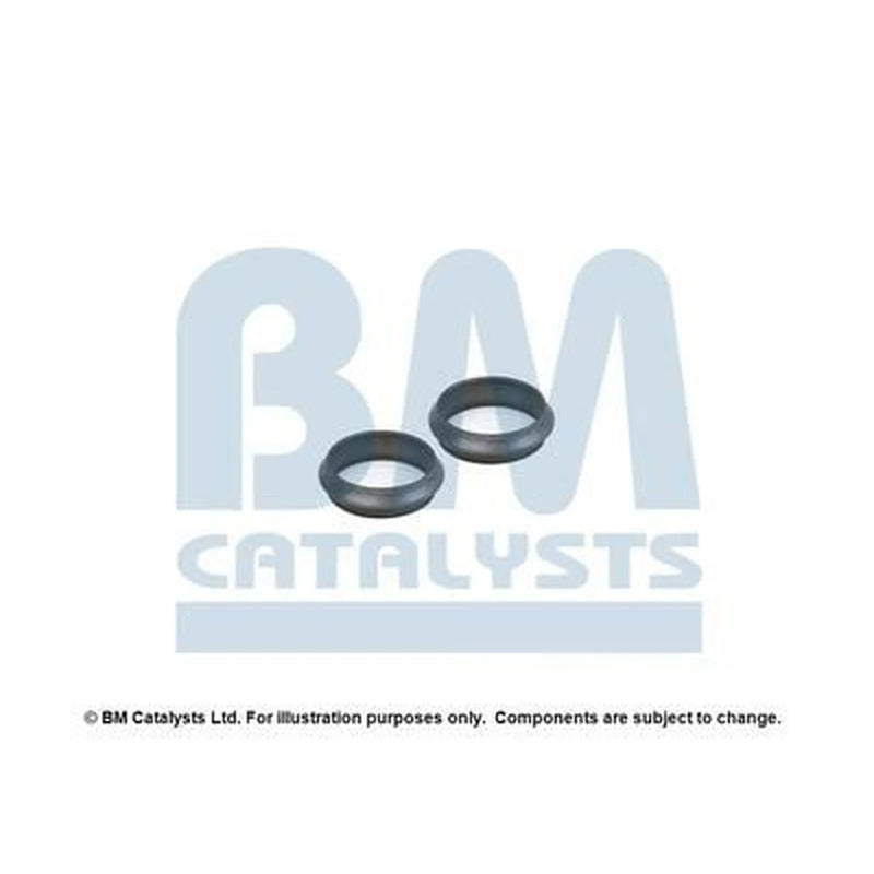 BM Catalysts Fitting Kit FK90801A FK90801A