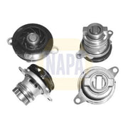 NAPA Engine Cooling Water Pump NWP1561
