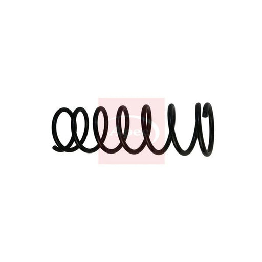 Apec Rear Suspension Coil Spring ACS1821