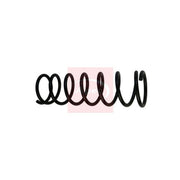 Apec Rear Suspension Coil Spring ACS1821