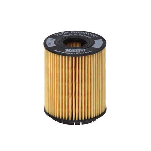 Hengst Engine Oil Filter E60H D110