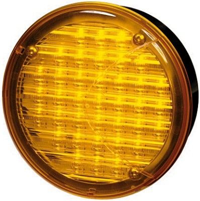Hella 2BA 964 169-317 Direction Indicator