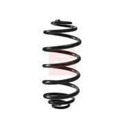 Apec Rear Suspension Coil Spring ACS2404