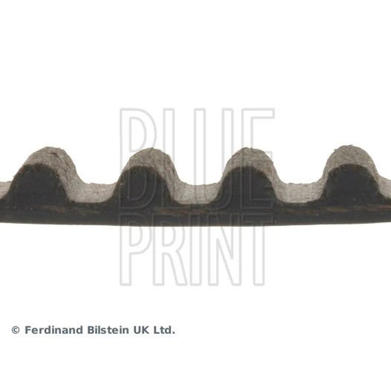 Blue Print Timing Belt Cambelt 95 Teeth ADN17538