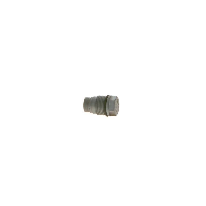 Bosch Fuel Rail Pressure Relief Valve (Common Rail Diesel) 1 110 010 025