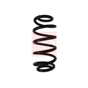 Apec Front Suspension Coil Spring ACS1699