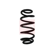 Apec Front Suspension Coil Spring ACS1699