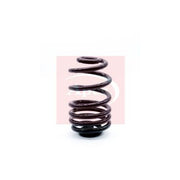 Apec Rear Suspension Coil Spring ACS1312
