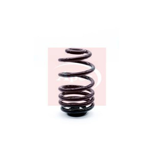 Apec Rear Suspension Coil Spring ACS1312
