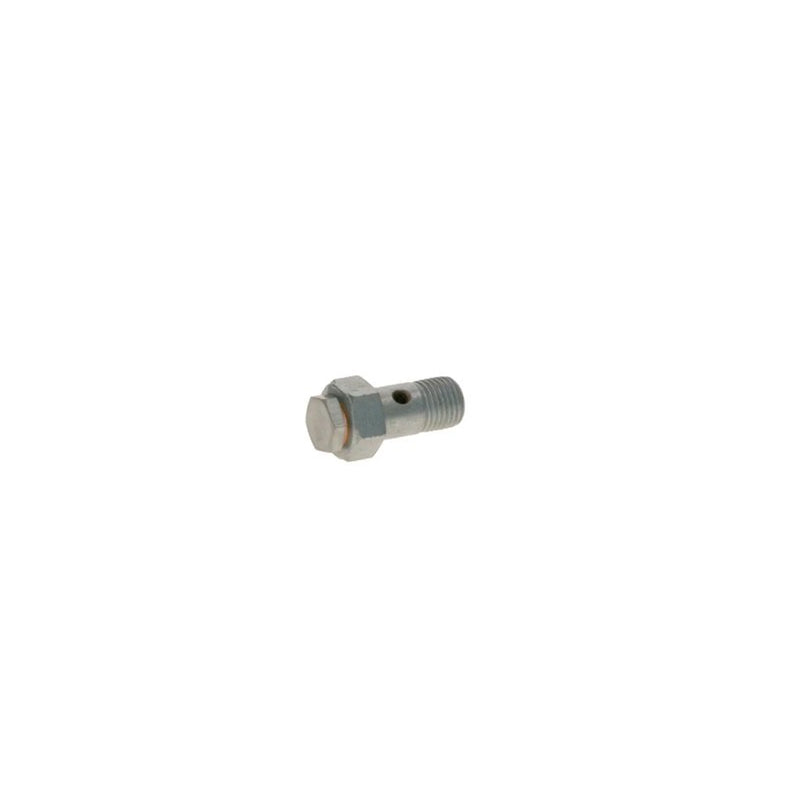 Bosch Fuel Injection Control Valve 2 417 413 101