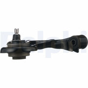 Delphi Control/Trailing Arm Lower TC6789