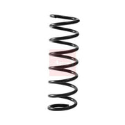 Apec Front & Rear Suspension Springs ACS2312