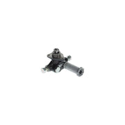 Bosch Fuel Pump Assembly H 105 217 173