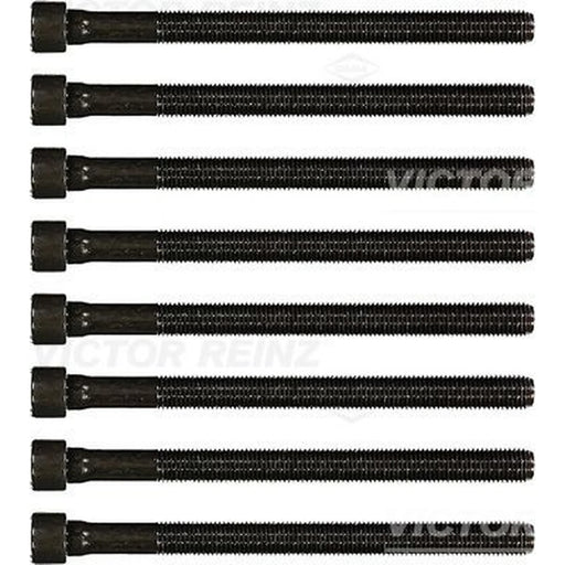 Victor Reinz Cylinder Head Bolt Set M12 14-32059-02