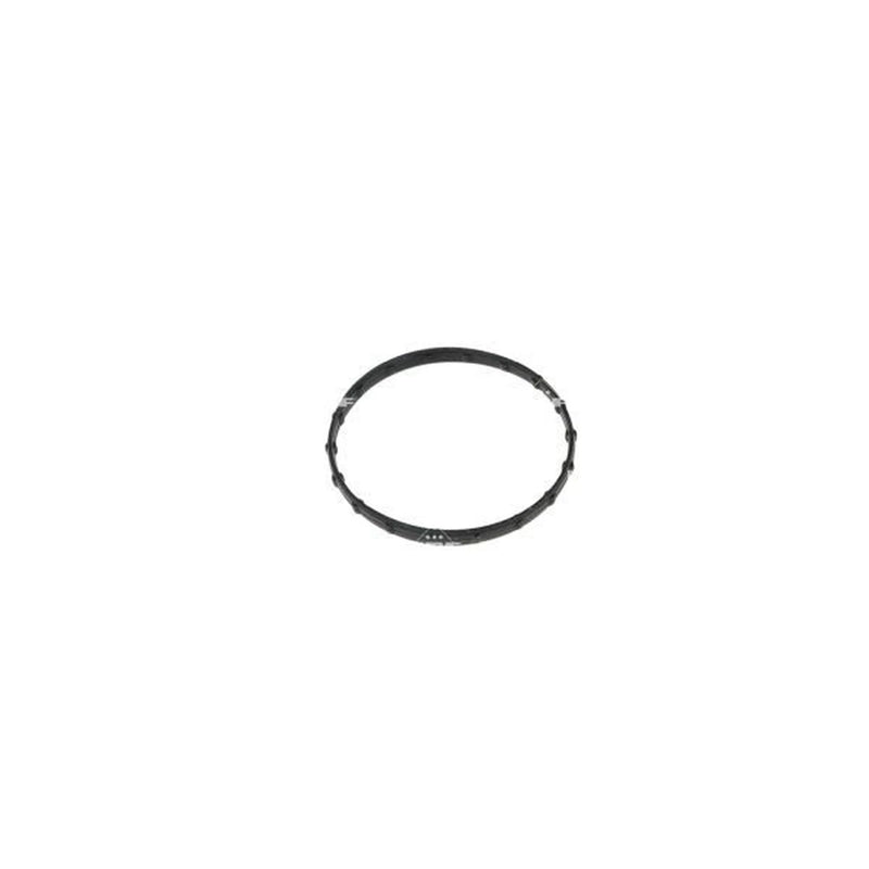 NRF Thermostat,Coolant 725252