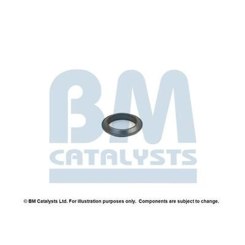 BM Catalysts Exhaust Pipe Mounting Kit FK70438A