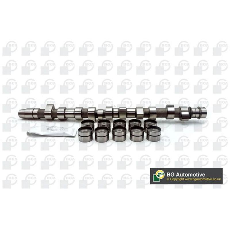 BGA Camshaft Kit Set With Bearings Intake Side CS3381K