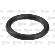 Valeo Fuel Filter Element 587555