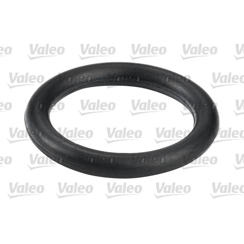 Valeo Fuel Filter Element 587555