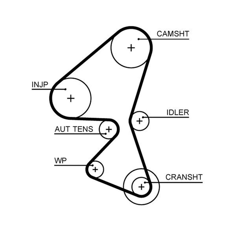 Gates Timing Belt Cambelt 141 Teeth 5656XS