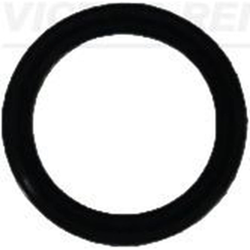 Victor Reinz Sealing Ring Gasket 40-76700-00
