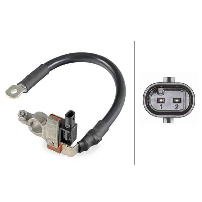 Hella Battery Sensor Ibs200X Audi 6PK 6PK 010 942-901
