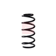 Apec Rear Suspension Coil Spring ACS2156