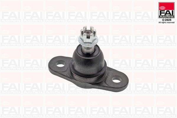 FAI Ball Joint