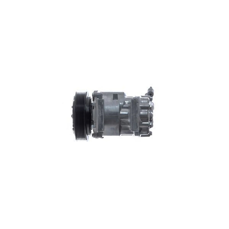 Mahle Air Conditioning Compressor ACP 1646 000S