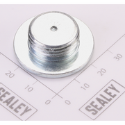 Sealey Saddle Bolt
