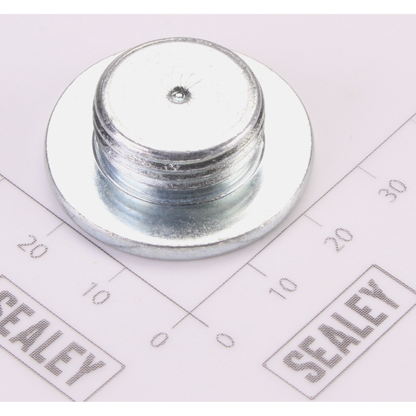 Sealey Saddle Bolt