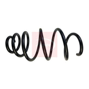 Apec Front Suspension Coil Spring ACS1909
