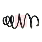Apec Front Suspension Coil Spring ACS1909
