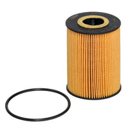 Hengst Engine Oil Filter E113H D181