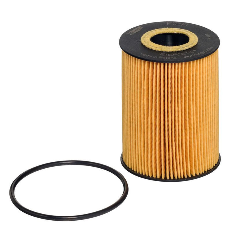 Hengst Engine Oil Filter E113H D181