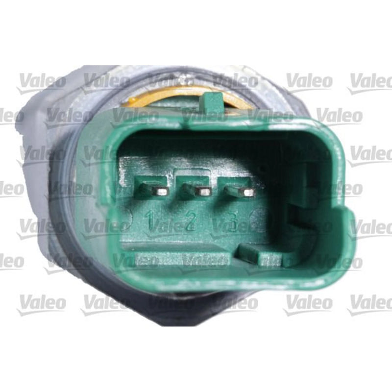 Valeo Oil Level Sensor 366225