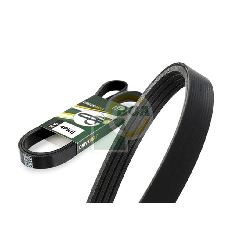 BGA Multi V-Ribbed Drive Belt 4PK836E