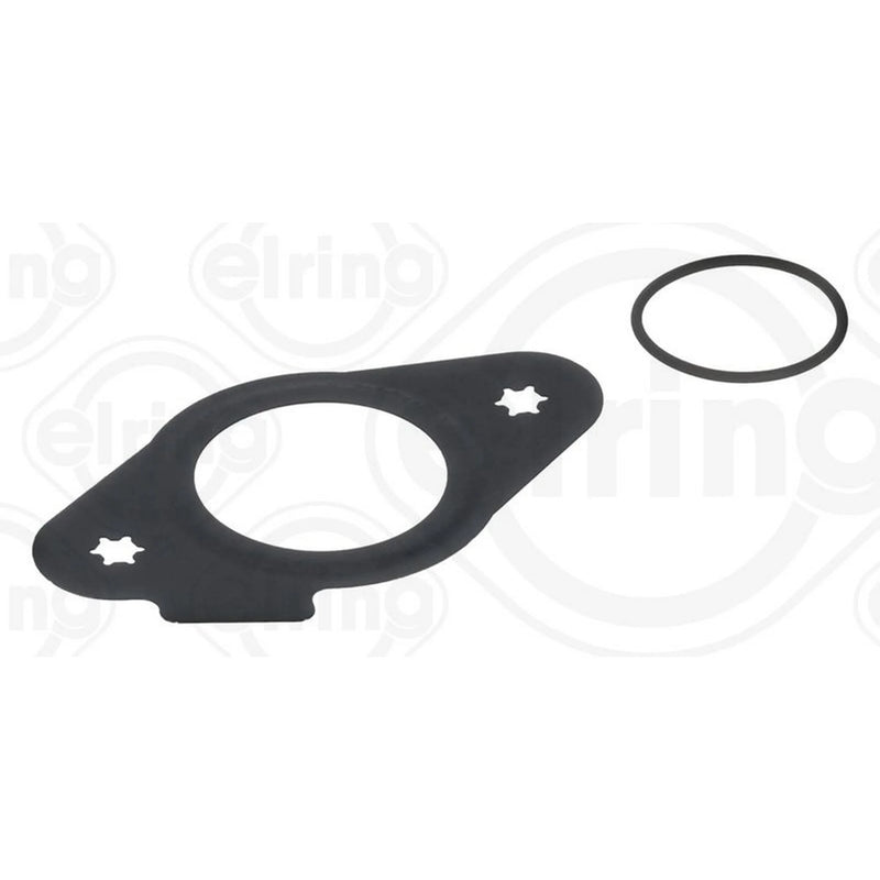 Elring Injector Pump Seal Kit 968.420