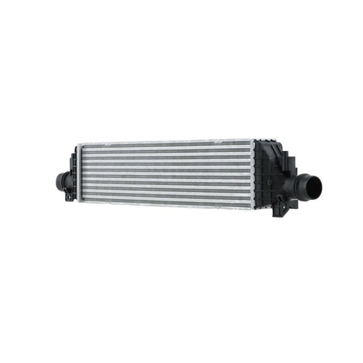 Hella Intercooler (Charge Air Cooler) 8ML 366 341-091
