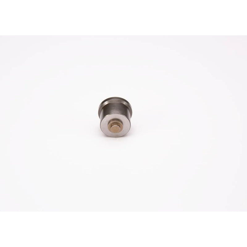Bosch Engine Control Valve 2 418 554 057
