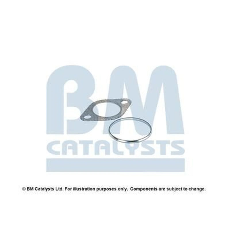 BM Catalysts Fitting Kit FK80069A FK80069A