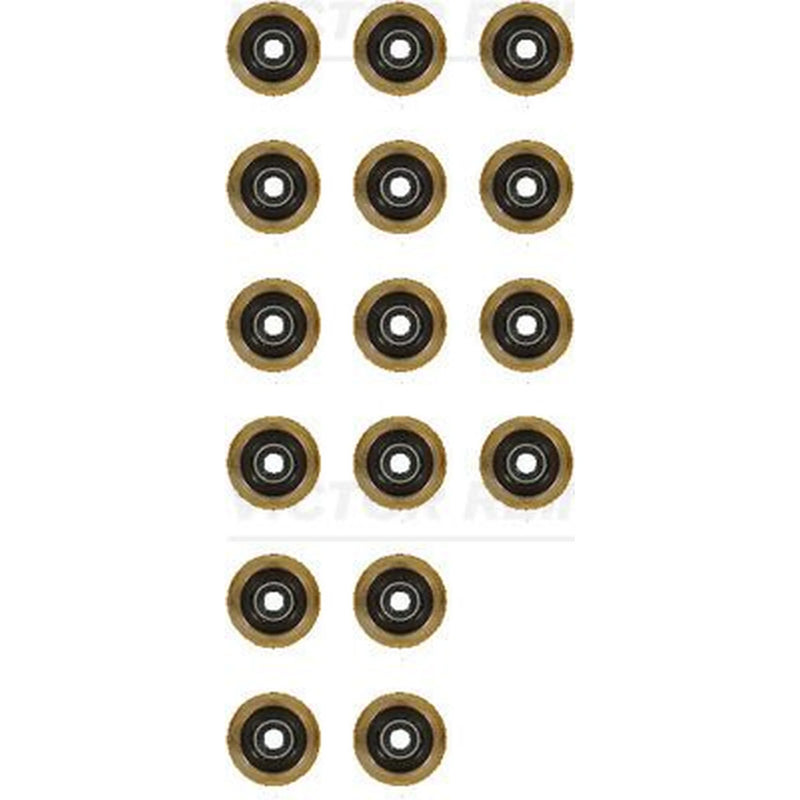 Victor Reinz Valve Stem Seal Set ID High 12-19255-01