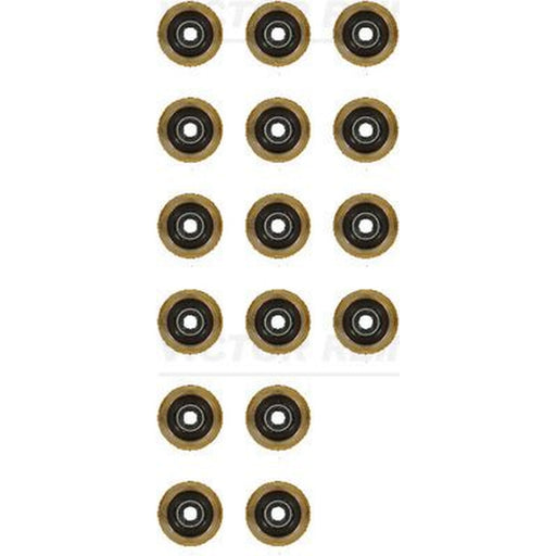 Victor Reinz Valve Stem Seal Set ID High 12-19255-01