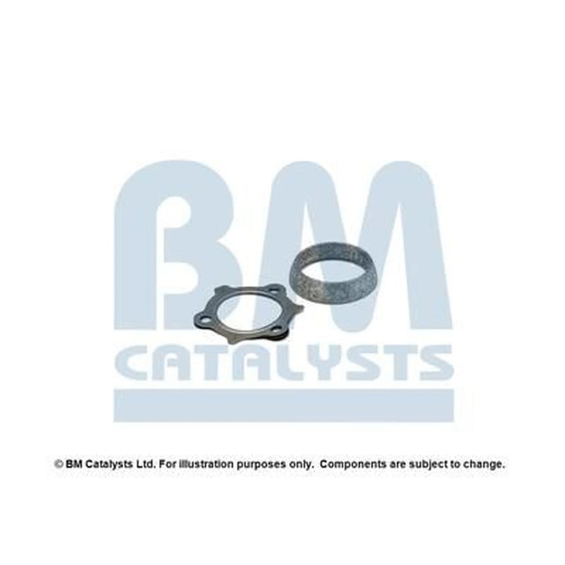 BM Catalysts Fitting Kit FK11060A FK11060A