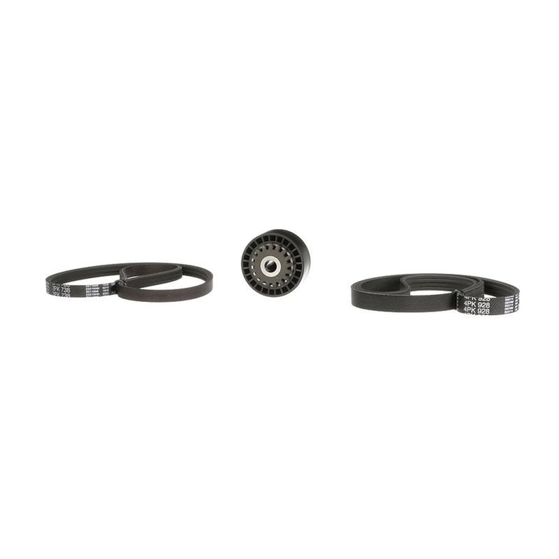 Gates V-Ribbed Belt Set K033PK738