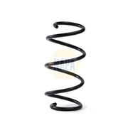 NAPA Front Suspension Coil Spring NCS2137
